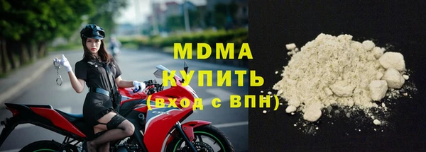 молекула духа Бородино